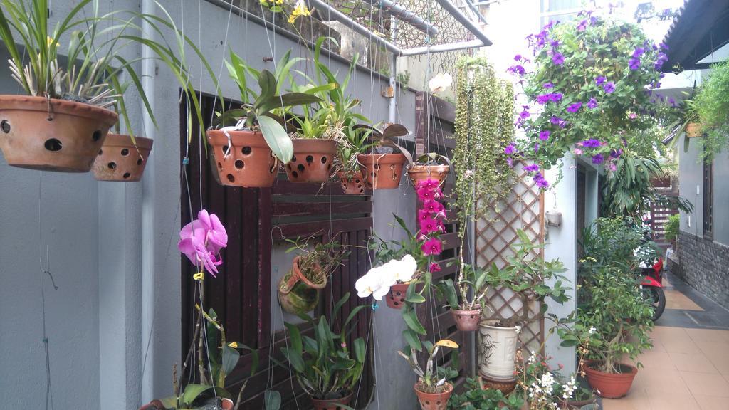 Green Coco Homestay Hoi An Luaran gambar