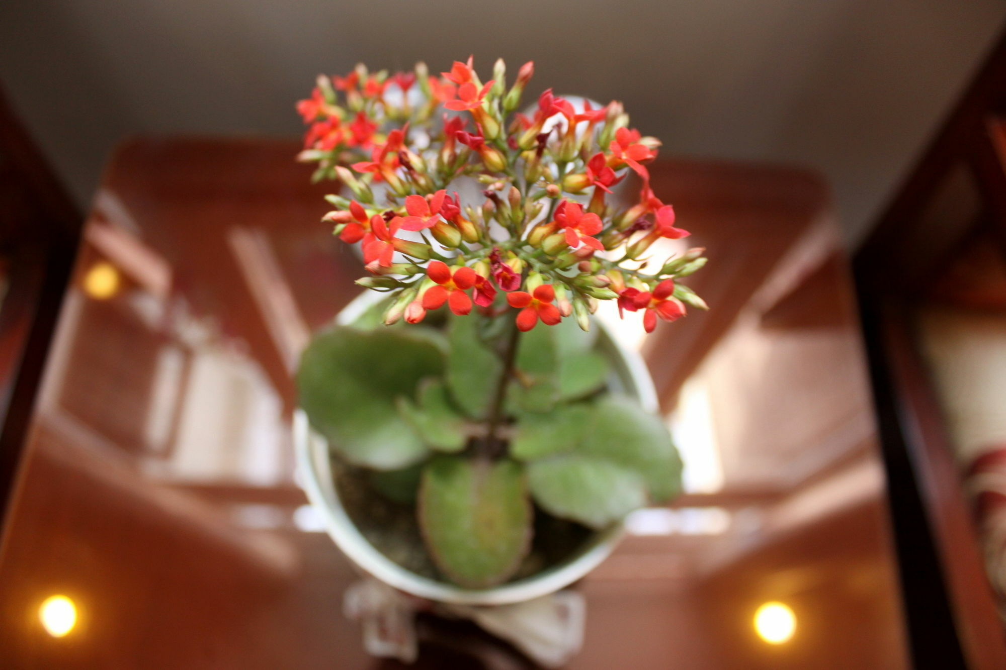 Green Coco Homestay Hoi An Luaran gambar