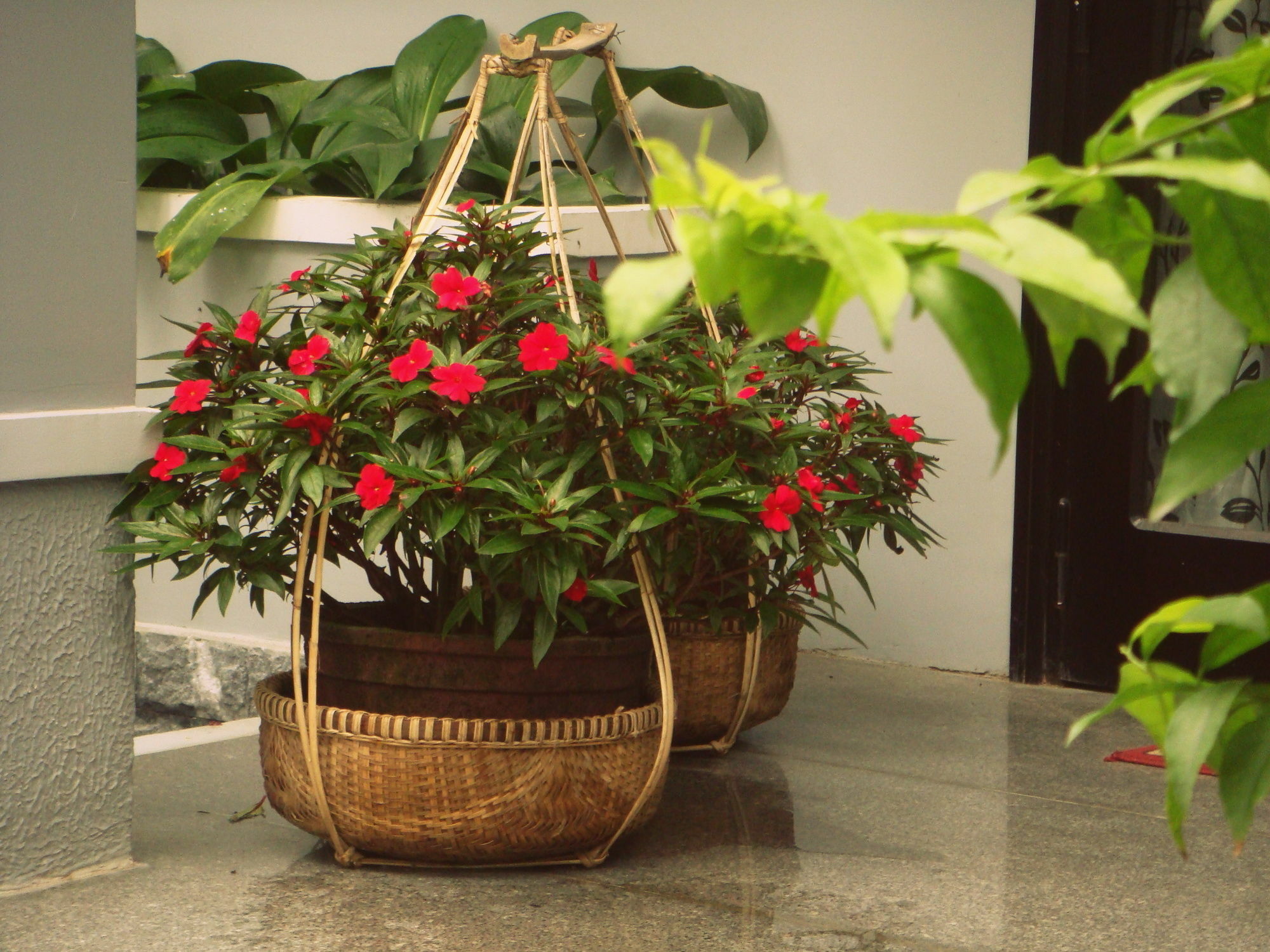 Green Coco Homestay Hoi An Luaran gambar